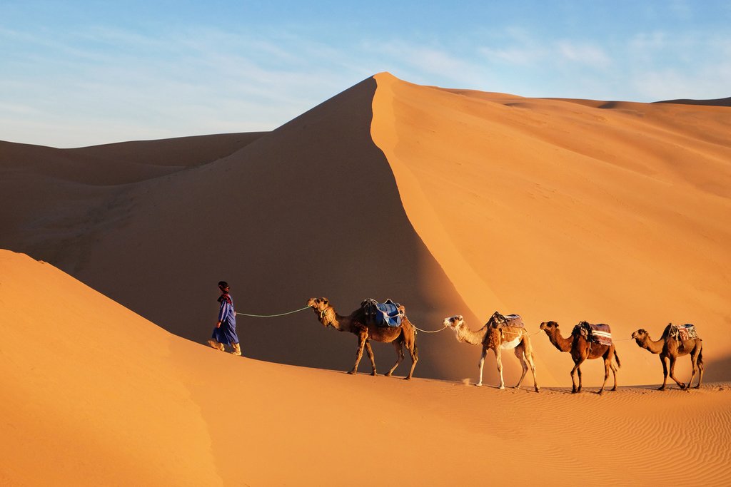 Africa