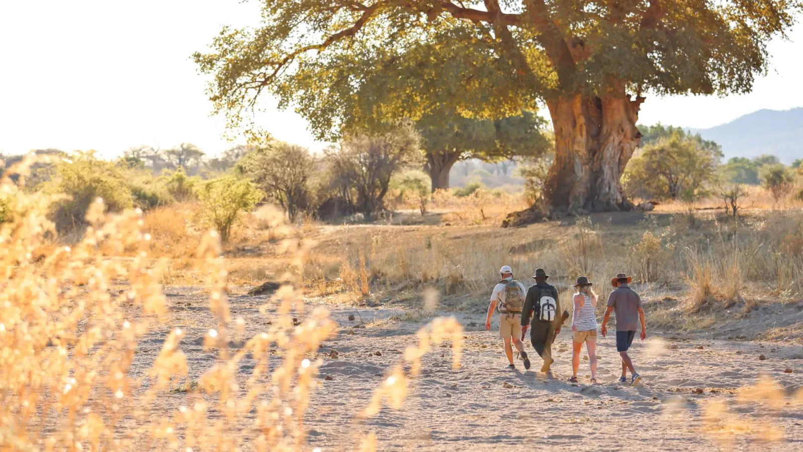 Olare Motorogi Conservancy