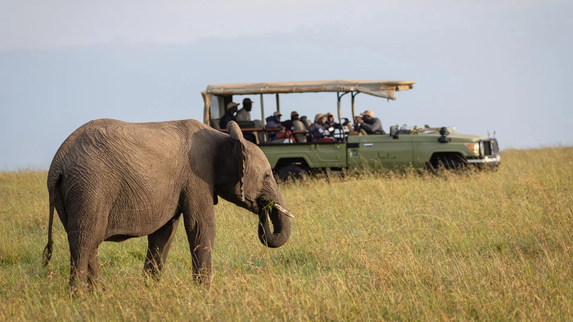 Red Elephants in Tsavo