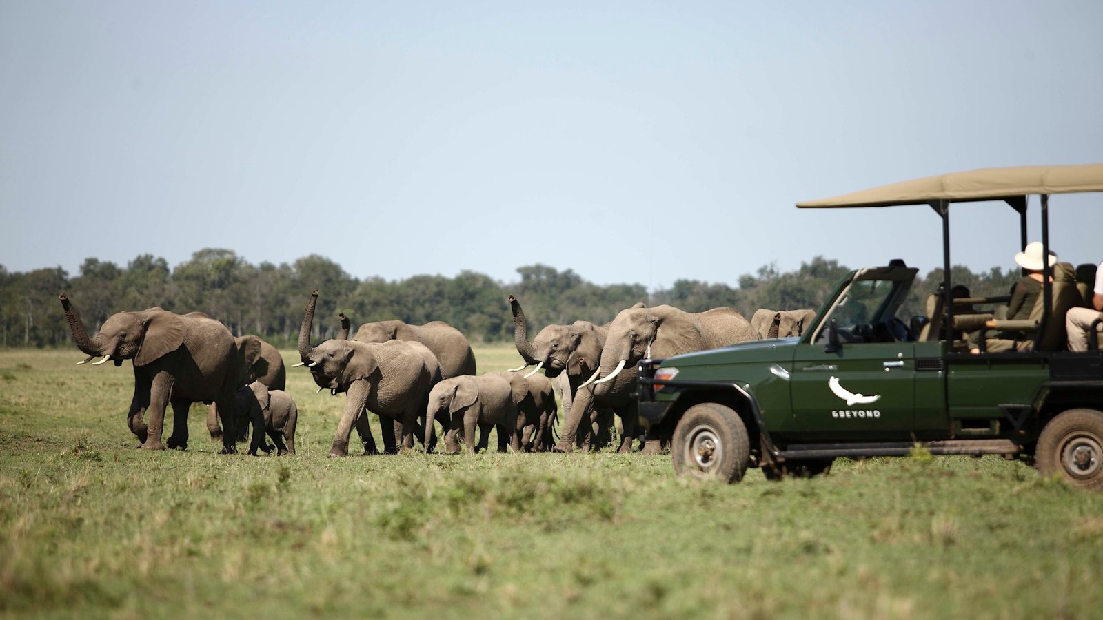 Private game drive vehicle alongside a herd of elephants on the Mara plains